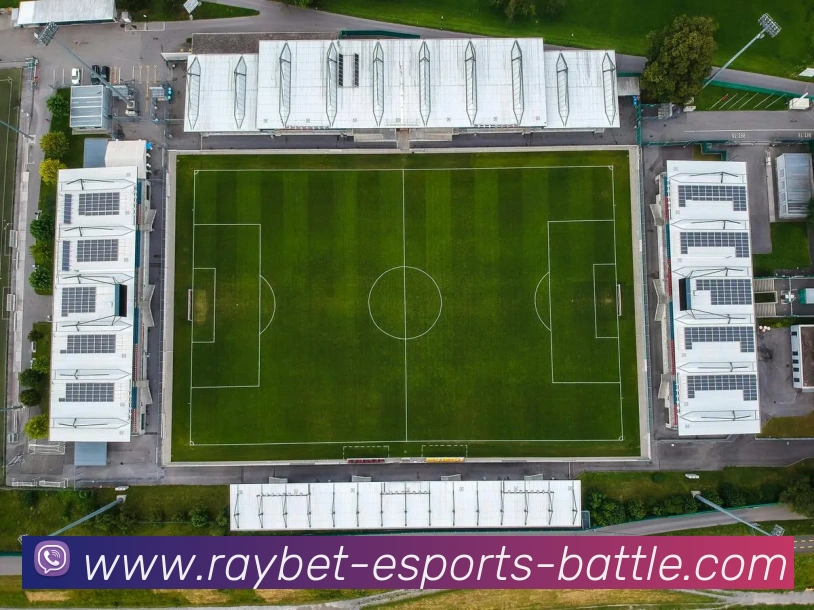 雷竞技平台生态图