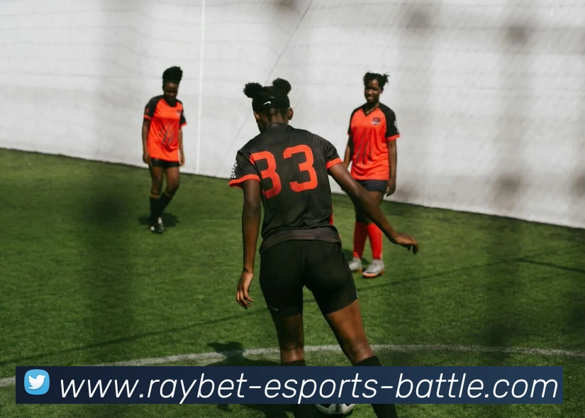 雷竞技APP 封面图